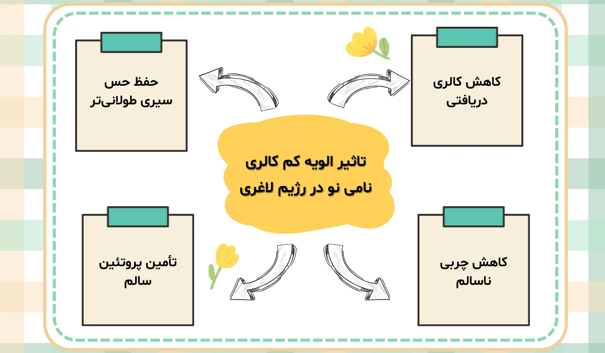 الویه رژیمی بدنسازی