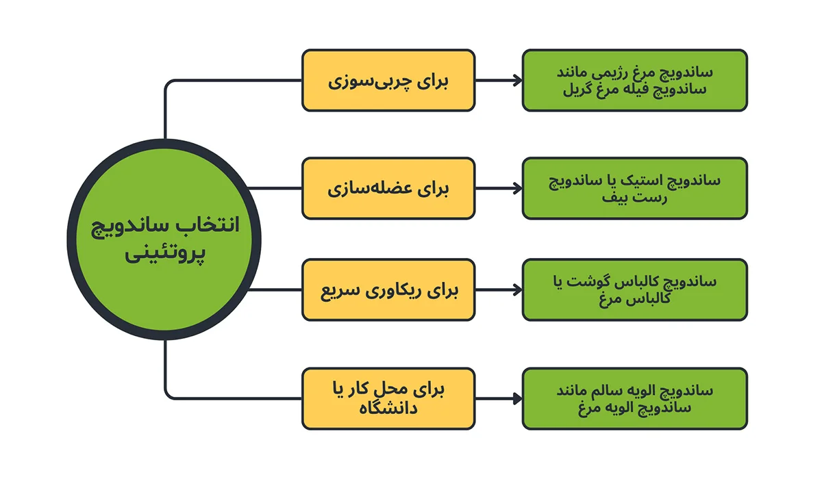 انتخاب ساندویچ های پروتئینی