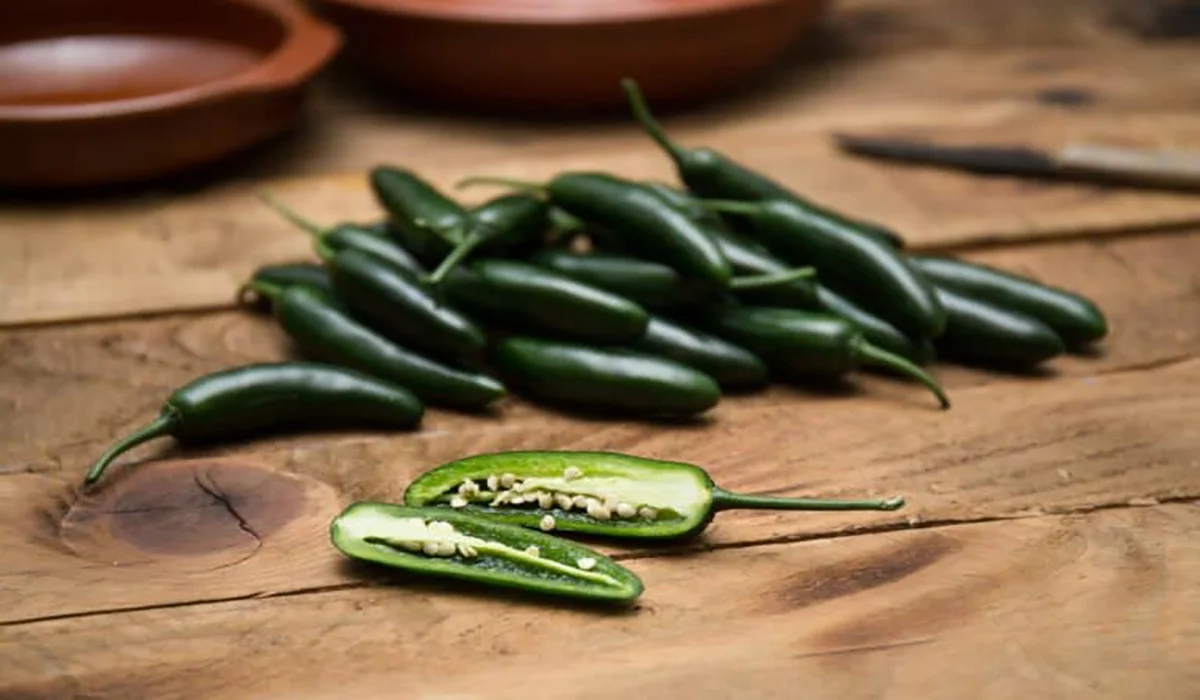 سس هالوپینو چیست