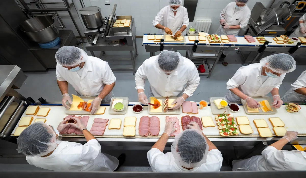 خط تولید ساندویچ آماده